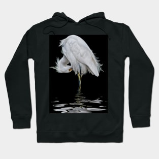 Snowy Egret Preening Hoodie